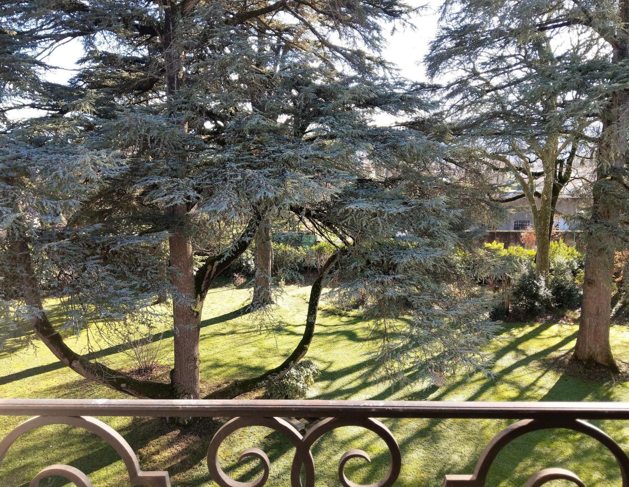 Maison D'Hotes Le Parc Labruguière Rom bilde